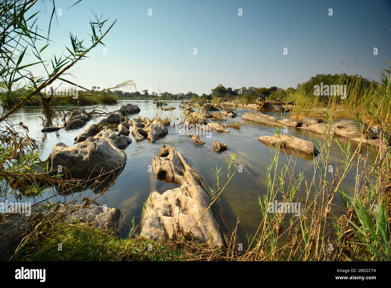 Vista sul fiume Cubango, confine naturale tra Namibia e Angola. Striscia di Caprivi, Namibia Foto Stock