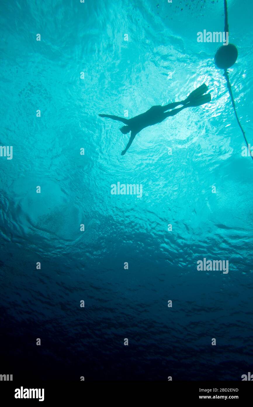 Vista subacquea di uomo snorkeling. Foto Stock