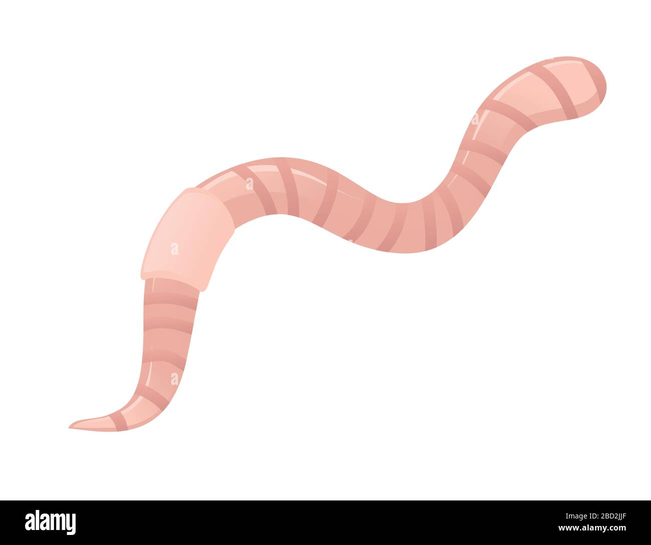 Earthworm crawling cartoon worm disegno piano vettore illustrazione isolato su sfondo bianco Illustrazione Vettoriale