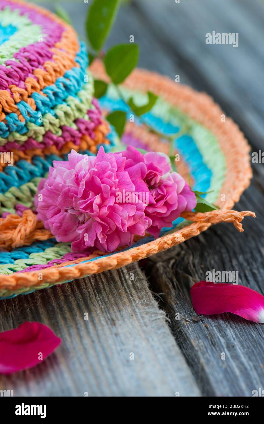 Rose su un colorato cappello di paglia Foto Stock