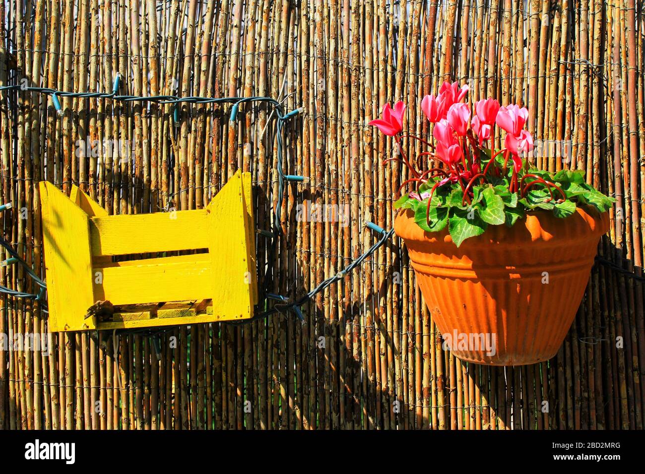 Cassa decorativa in legno e vaso di fiori sul recinto di un giardino. Foto Stock