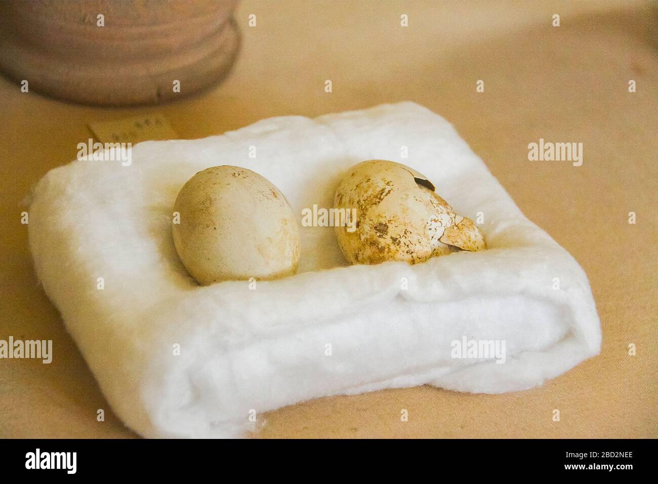 Egitto, Medio Egitto, Museo di Mallawi, foto scattate nel 2009, prima del saccheggio nel 2013. Uova di ibis. Foto Stock