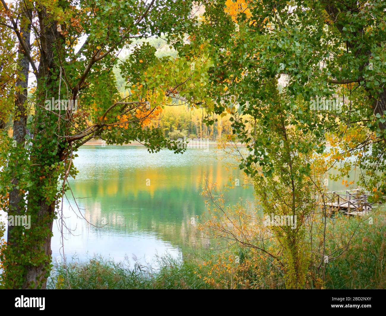 Vista su un lago tra la vegetazione lussureggiante Foto Stock