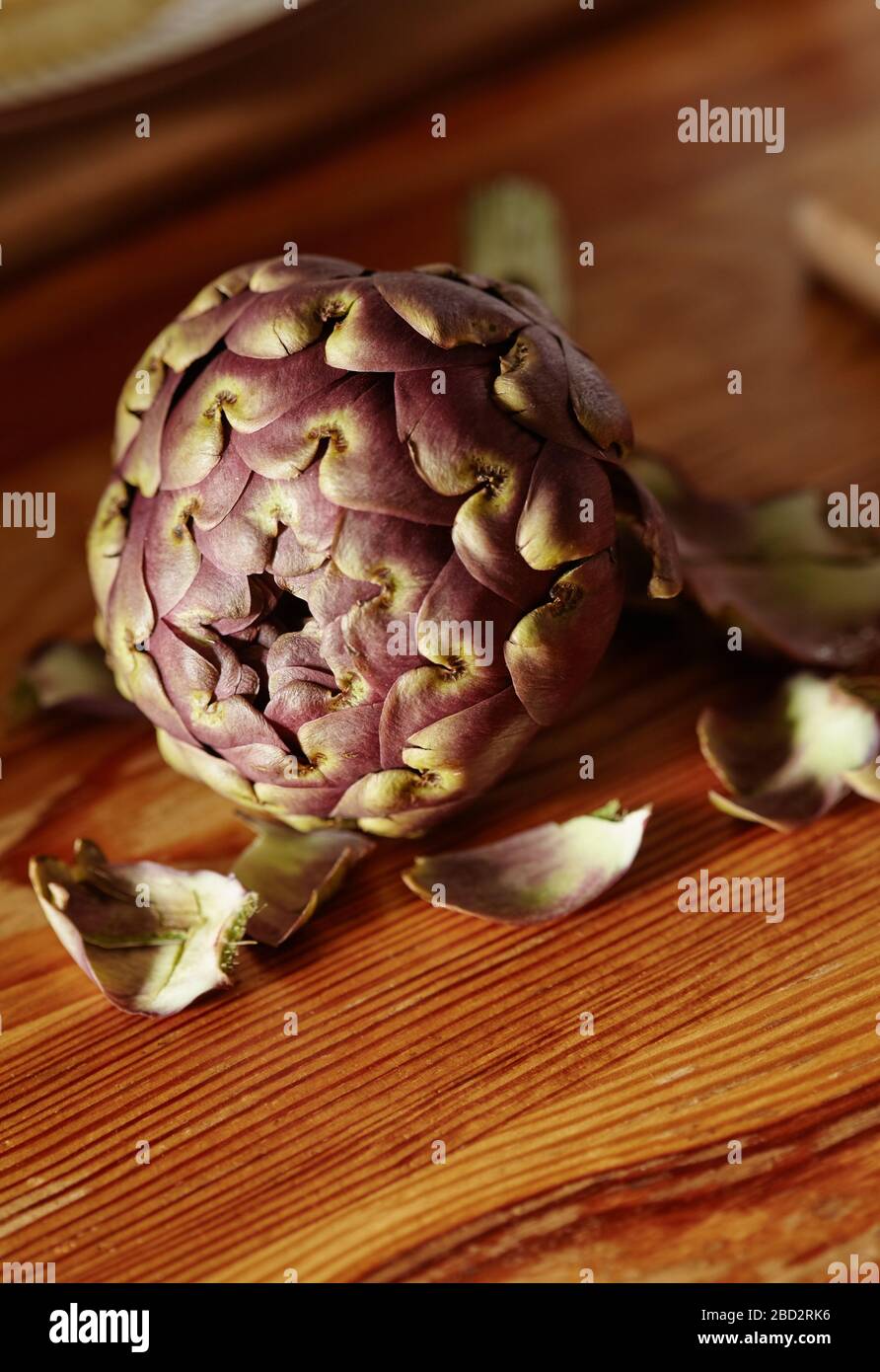 Testa di carciofo viola che ruota lentamente su un tavolo girevole. Foto Stock