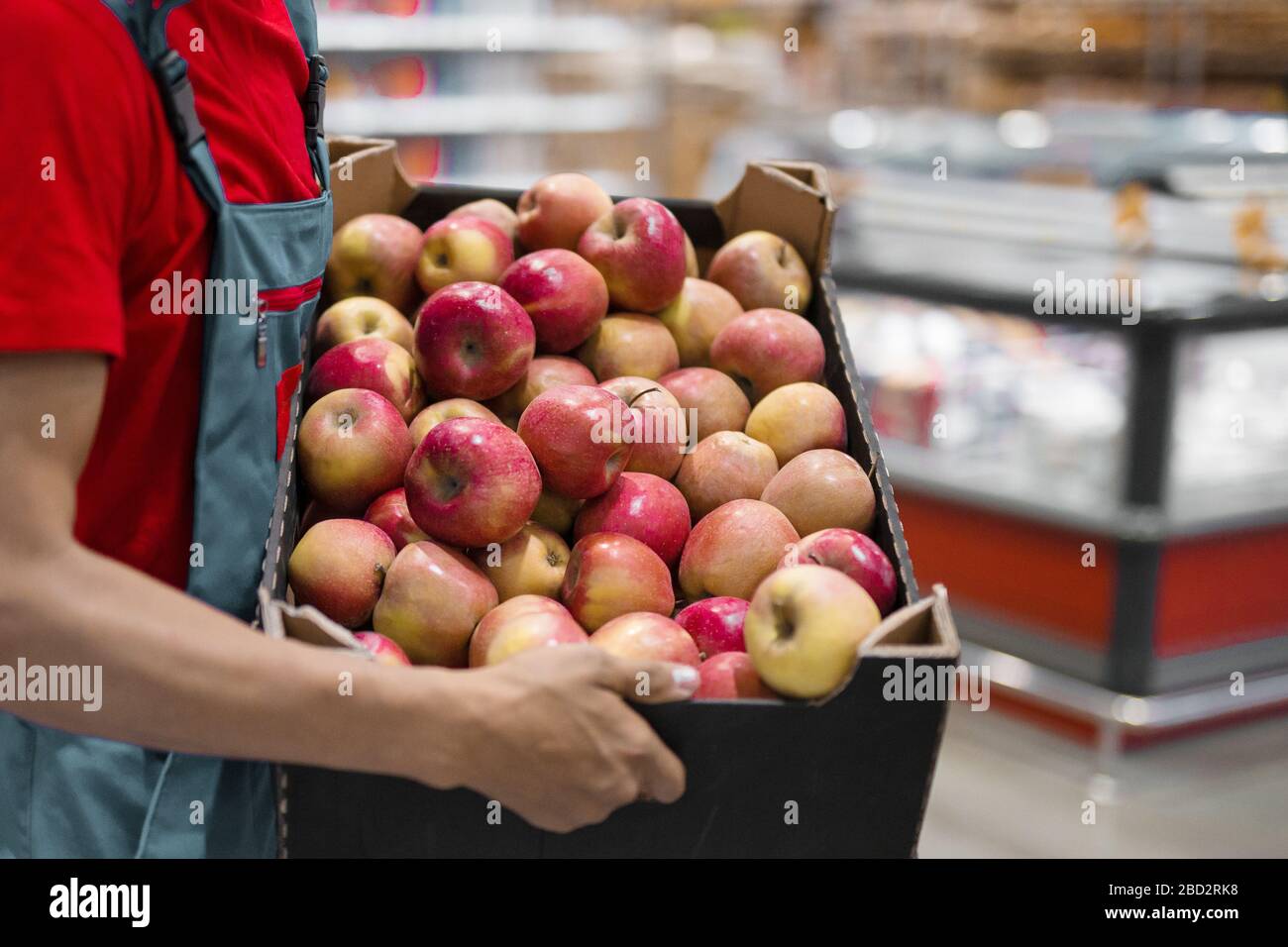 Coltivatore con mele appena raccolte in scatola di cartone. Agricoltura e concetto di giardinaggio. Foto Stock