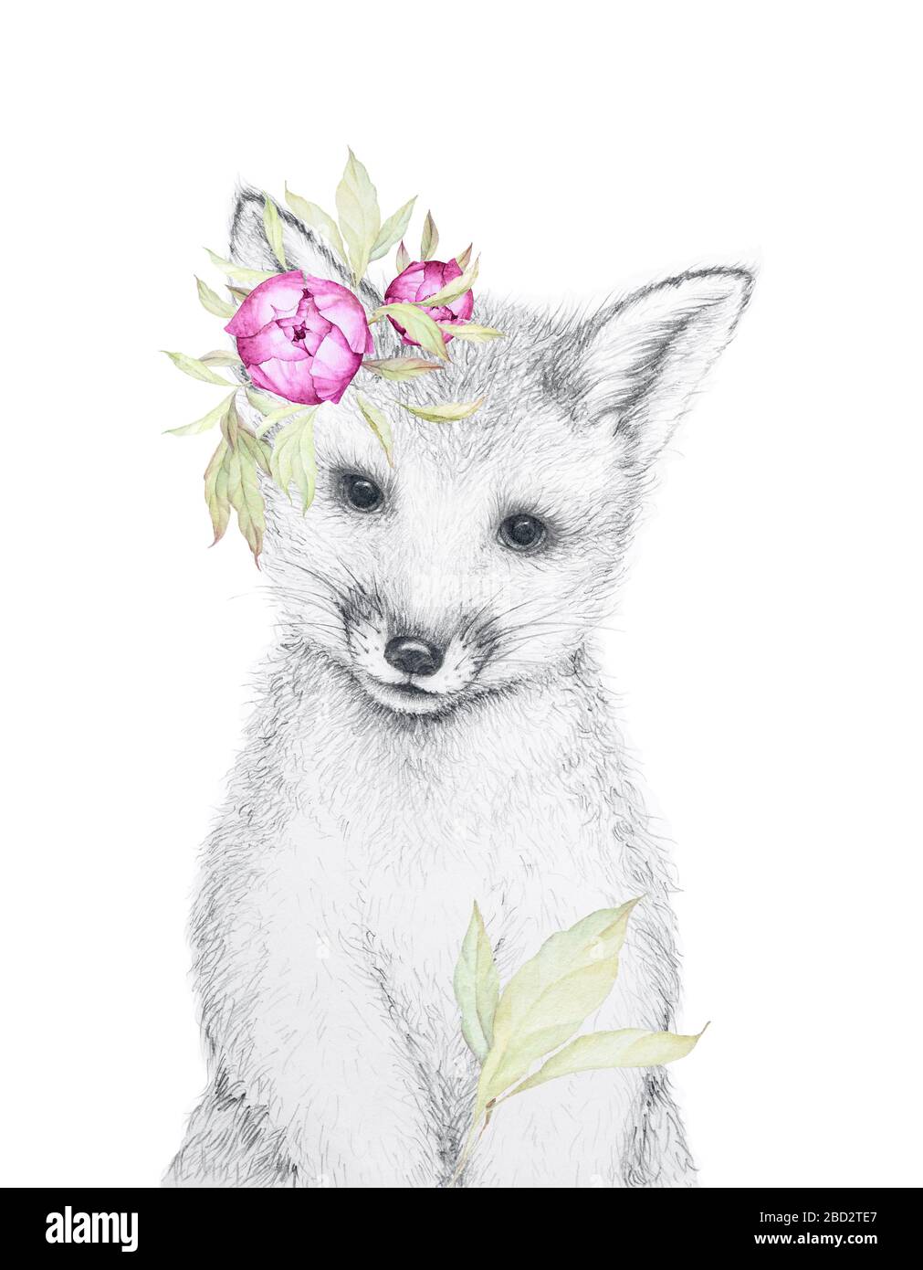 Cute Little Fox. Disegno a matita. Decorazioni con fiori acquerello. Nursery Wall Art Bambini Arte regalo. Animale di foresta. Sfondo bianco Foto Stock