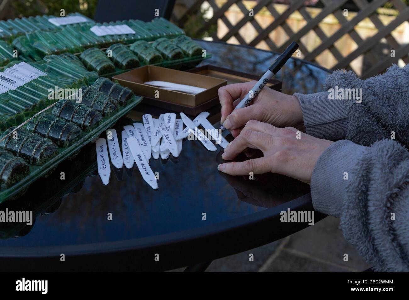 Un giardiniere siede ad un tavolo del giardino che scrive i nomi delle piante sulle etichette bianche delle piante di plastica per le piante della spina. Foto Stock