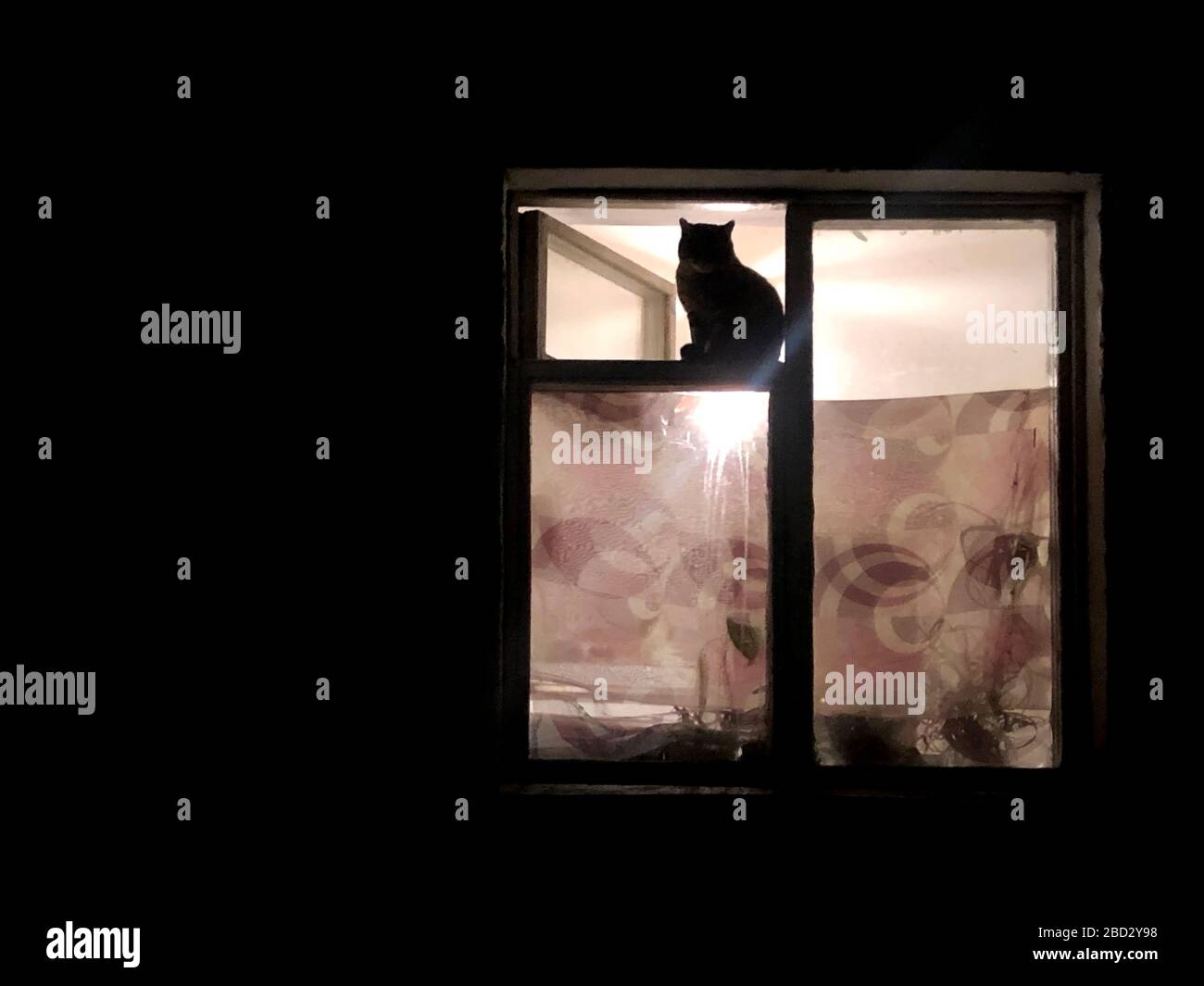 camera buia nella silhouette del gatto seduto al tramonto Foto Stock