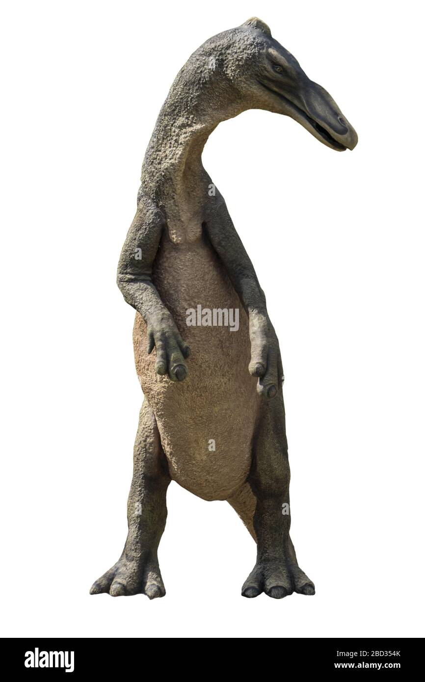 Anatosaurus isolato su sfondo bianco. Dinosauri Hadrosaurs del tardo Cretaceo, trovati come fossili nel Nord America Foto Stock