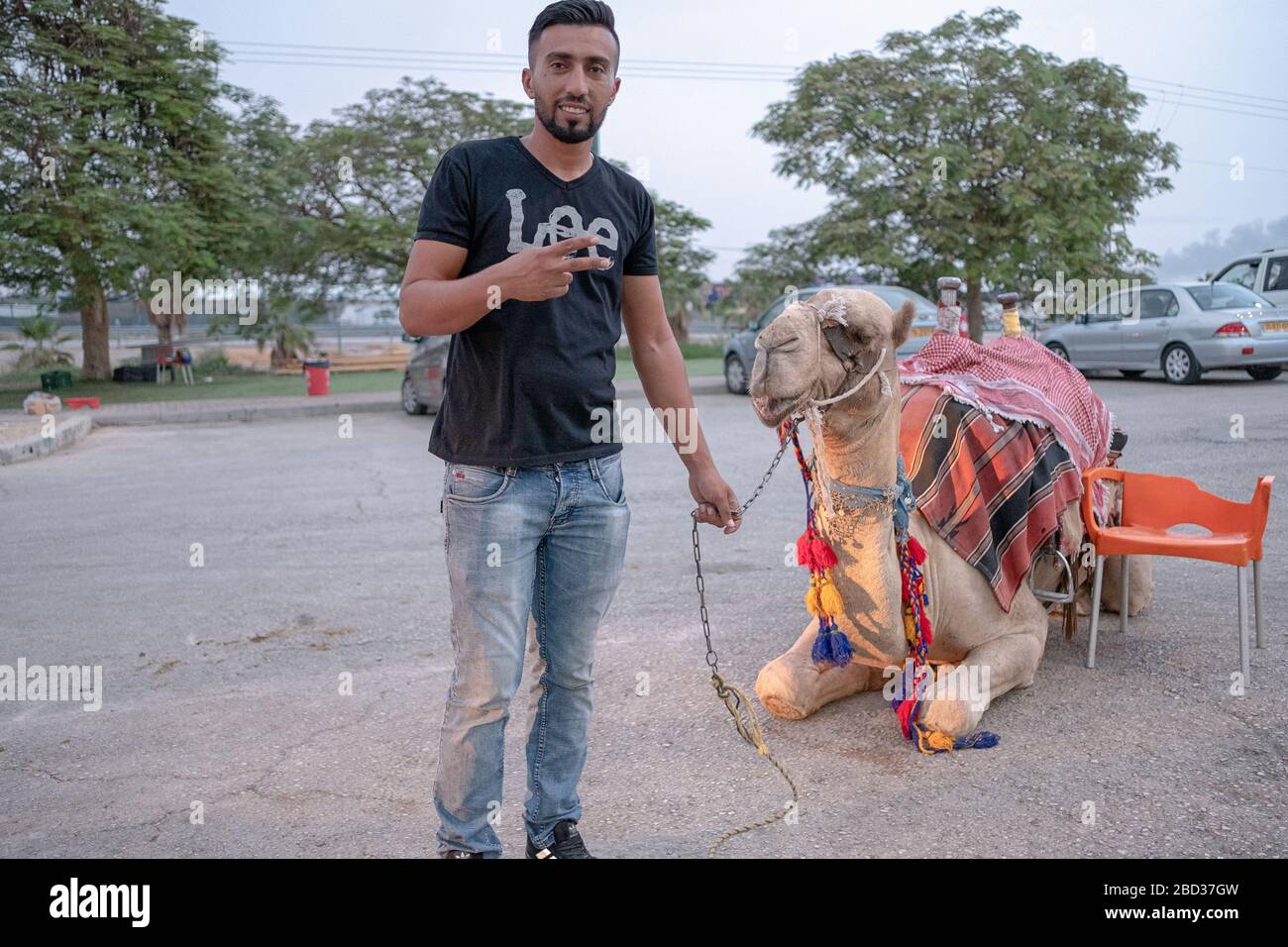 Un giovane, probabilmente palestinese, vende cavalcate su un cammello su una strada in Israele, appena a nord di Gerusalemme. Foto Stock