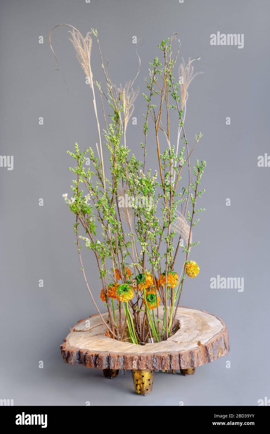 Allestimento floristico primaverile con farfalle gialle, ramoscelli di alberi fioriti e canne secche su un cerchio di fette di legno naturale con dischi di log di corteccia di alberi Foto Stock