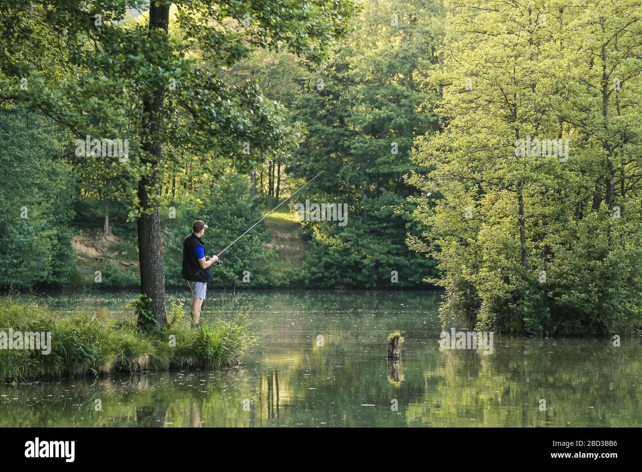 Uomo che pesca nel verde della natura selvaggia con la foresta lussureggiante in una giornata estiva soleggiata al tramonto. Foto Stock