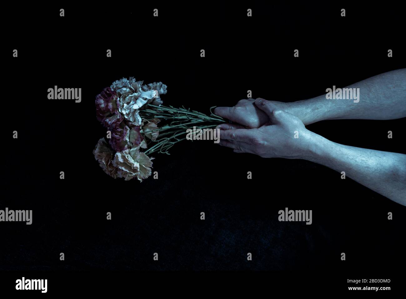 Una modifica scura e spaventosa delle mani di mans che tengono i fiori di plastica su uno sfondo nero Foto Stock