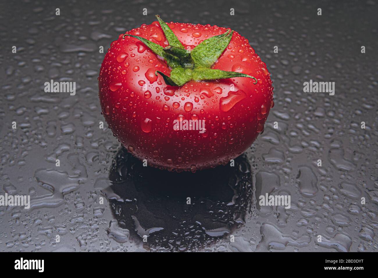 Studio di un pomodoro con gocce d'acqua su sfondo nero Foto Stock