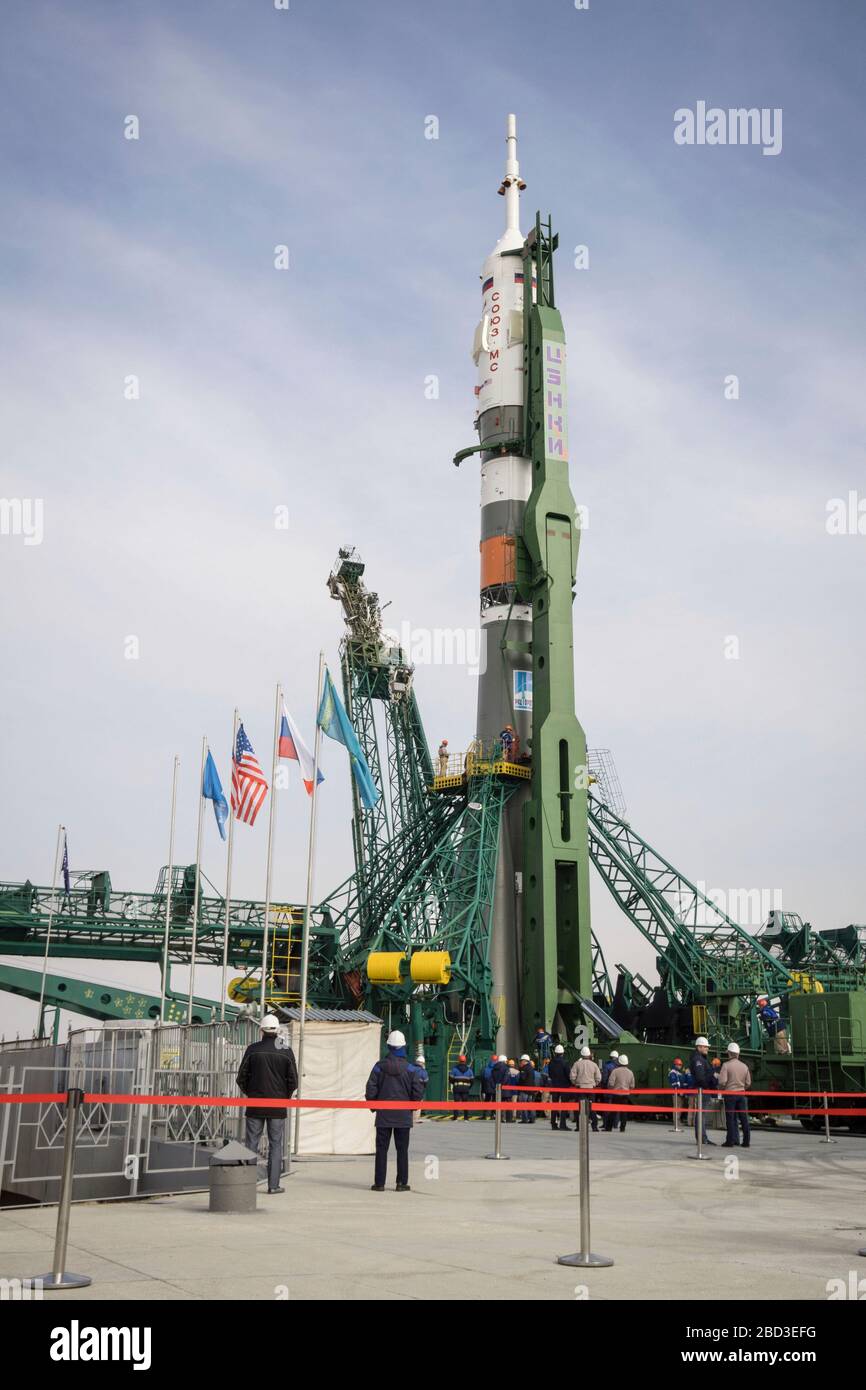 Baikonur, Kazakistan. 06th Apr, 2020. Il veicolo spaziale russo Soyuz MS 16 e il razzo booster vengono spostati in posizione verticale e il gantry viene chiuso sul pad di lancio 31 al Cosmodrome di Baikonur, aprile 6 2020 a Baikonur, Kazakhstan. Spedizione International Space Station 63 membri dell'equipaggio Chris Cassidy della NASA, Anatoly Ivanishin e Ivan Vagner di Roscosmos sono destinati a lanciare il 9 aprile per una missione di sei mesi e mezzo al laboratorio orbitante. Credit: Victor Zelentsov/NASA/Alamy Live News Foto Stock