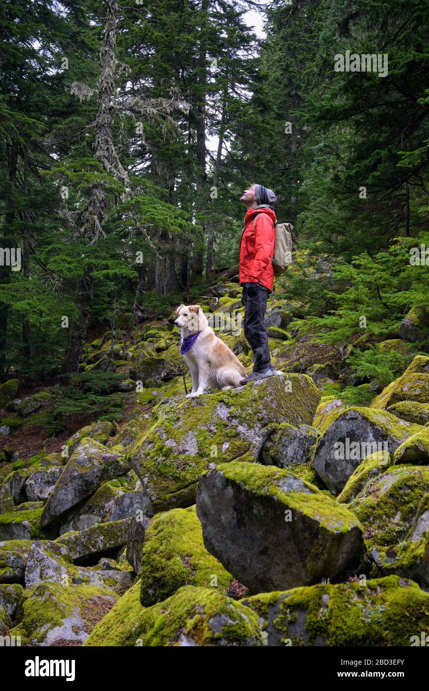 Maschio escursionista e soffice cane in piedi su rocce muschiate in montagna Foto Stock