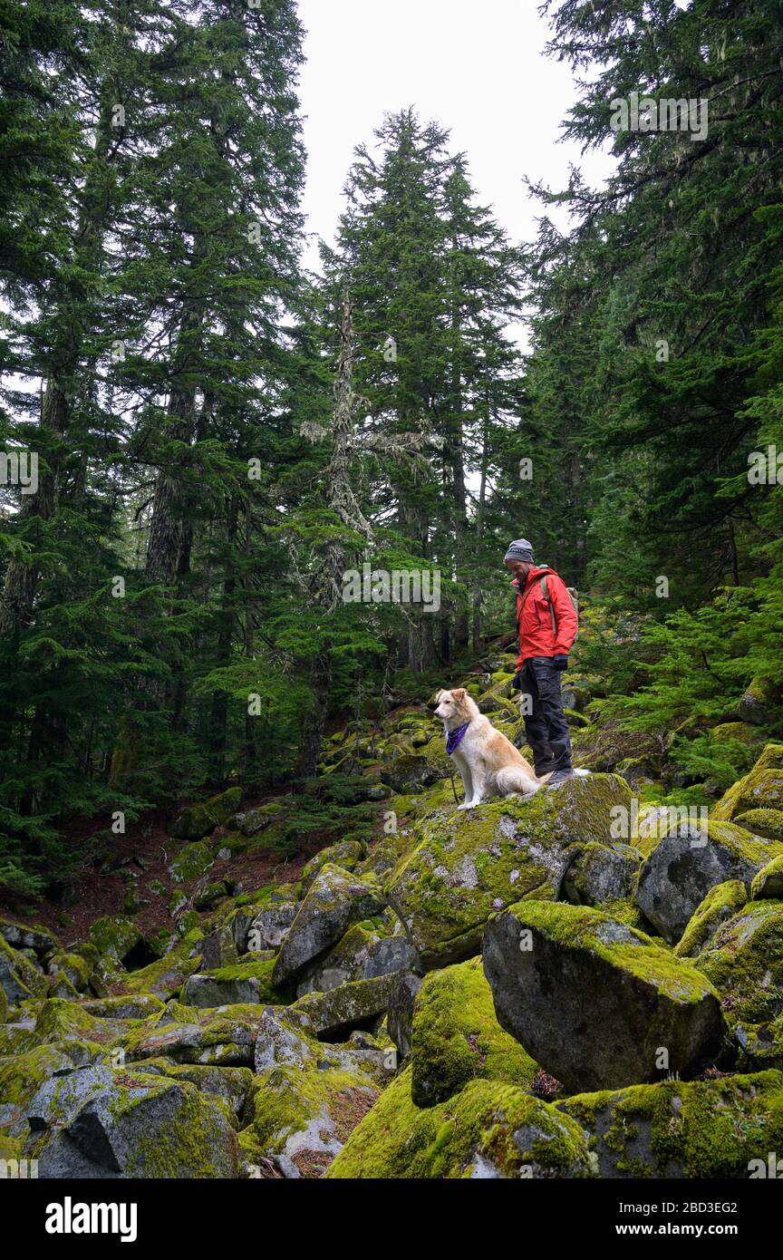 Maschio escursionista e soffice cane in piedi su rocce muschiate in montagna Foto Stock