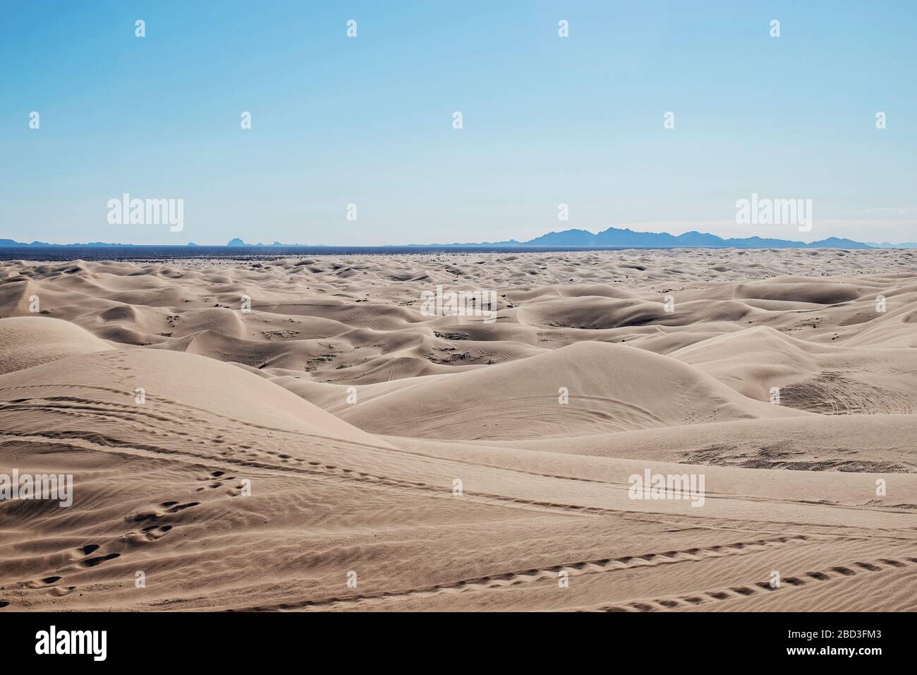 Le dune di sabbia imperiali, California, si estendono all'orizzonte. Foto Stock