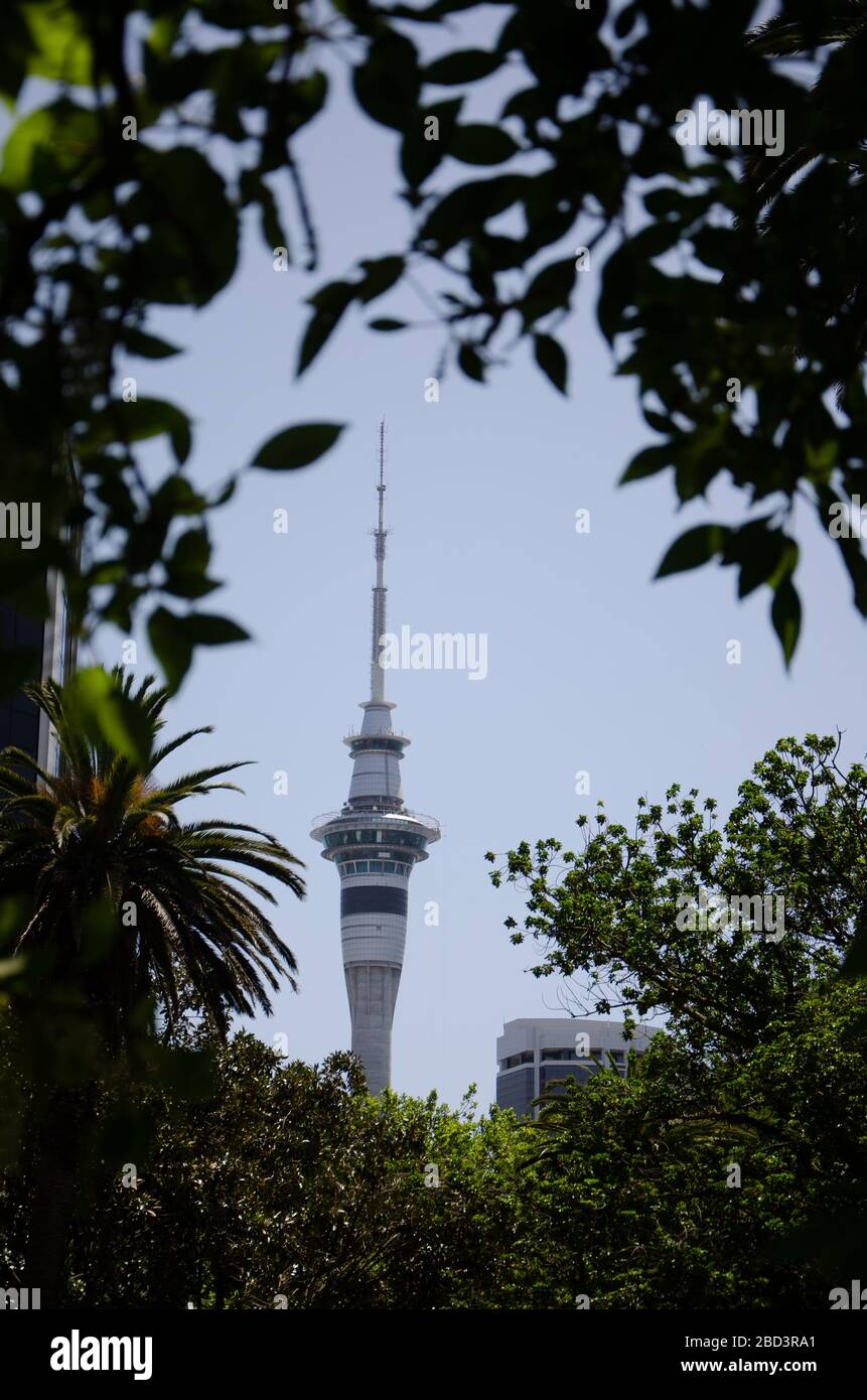 vista della torre sopraelevata di auckland attraverso gli alberi nel parco Foto Stock