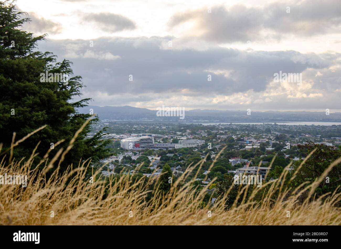 Vista dello skytower del cbd di auckland dagli alberi del Monte eden Foto Stock
