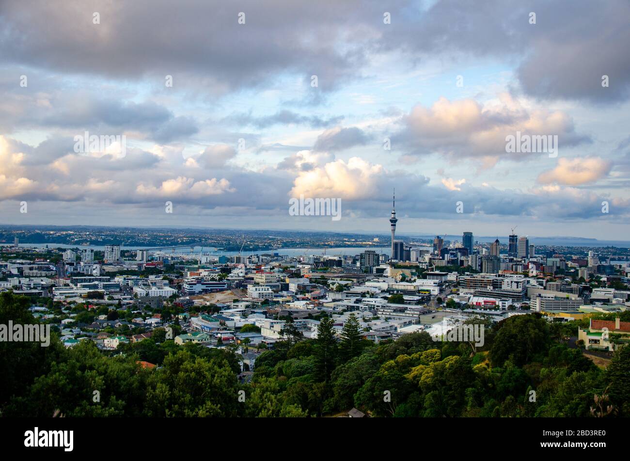 Vista dello skytower del cbd di auckland dagli alberi del Monte eden Foto Stock