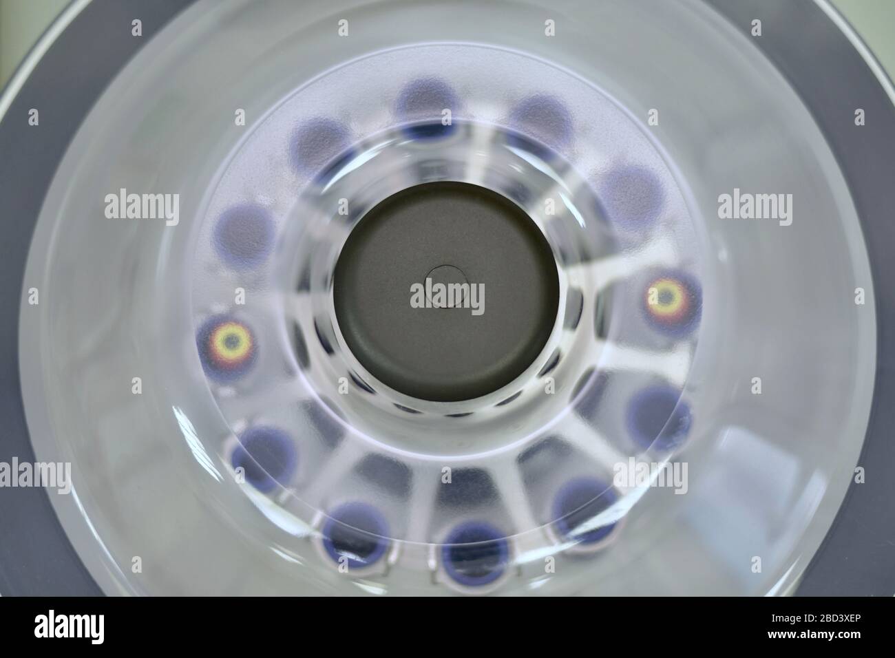 Centrifuga da laboratorio chiusa con provette in compartimenti. Vista dall'alto. Nel processo di rotazione. Foto Stock