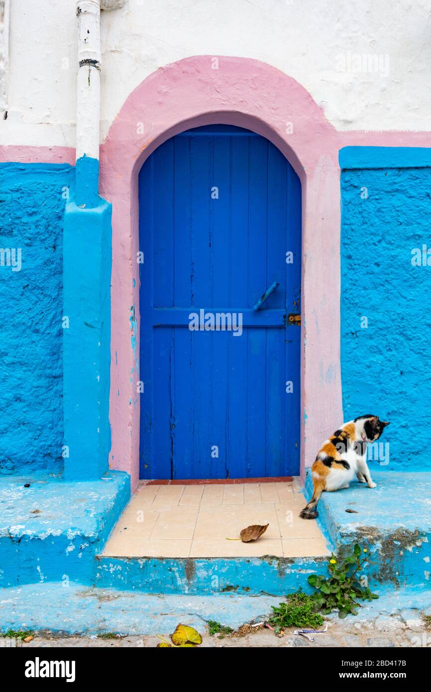 Porta blu e rosa con un gatto di fronte a una casa nella Kasbah degli Udayas a Rabat Marocco Foto Stock