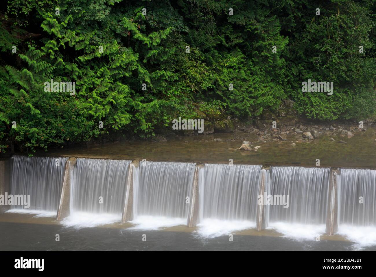 Il Capilano River Regional Park, Vancouver, British Columbia, Canada Foto Stock