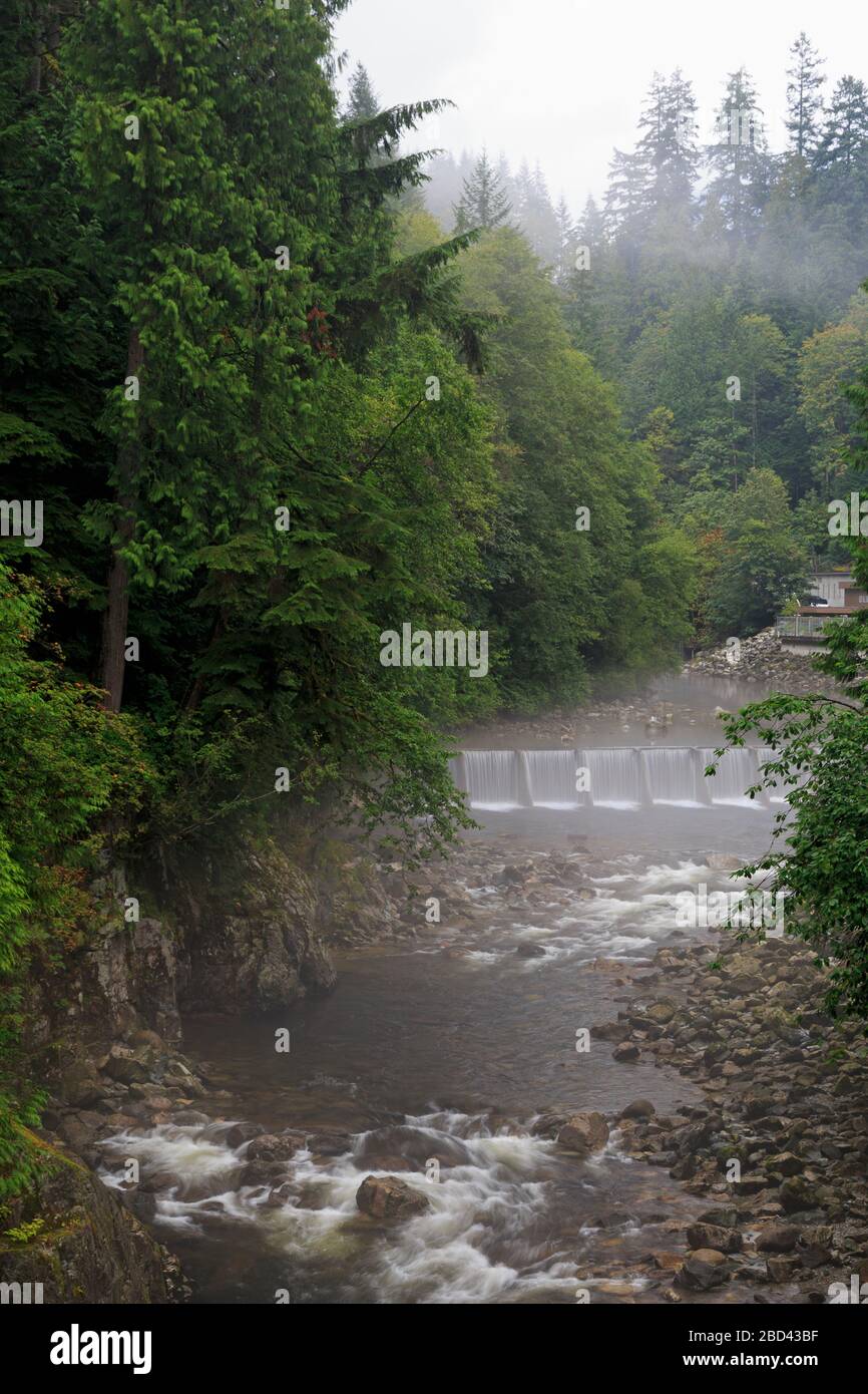 Il Capilano River Regional Park, Vancouver, British Columbia, Canada Foto Stock