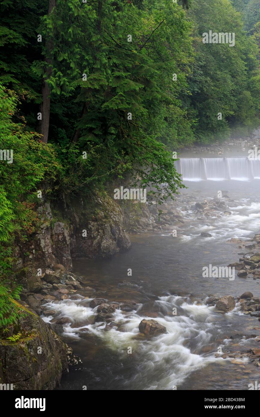 Il Capilano River Regional Park, Vancouver, British Columbia, Canada Foto Stock