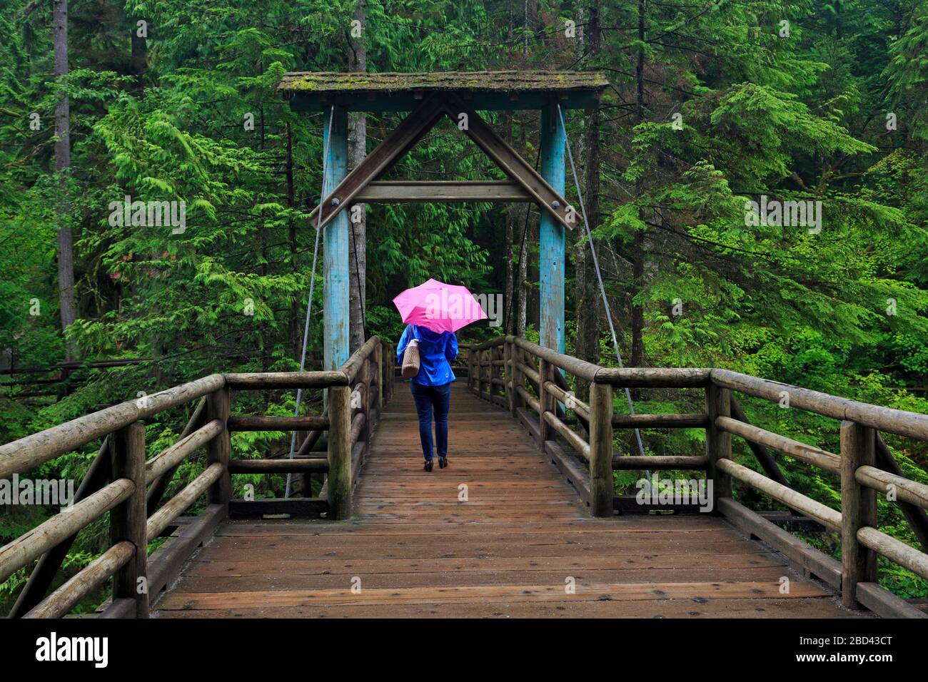 Il Capilano River Regional Park, Vancouver, British Columbia, Canada Foto Stock