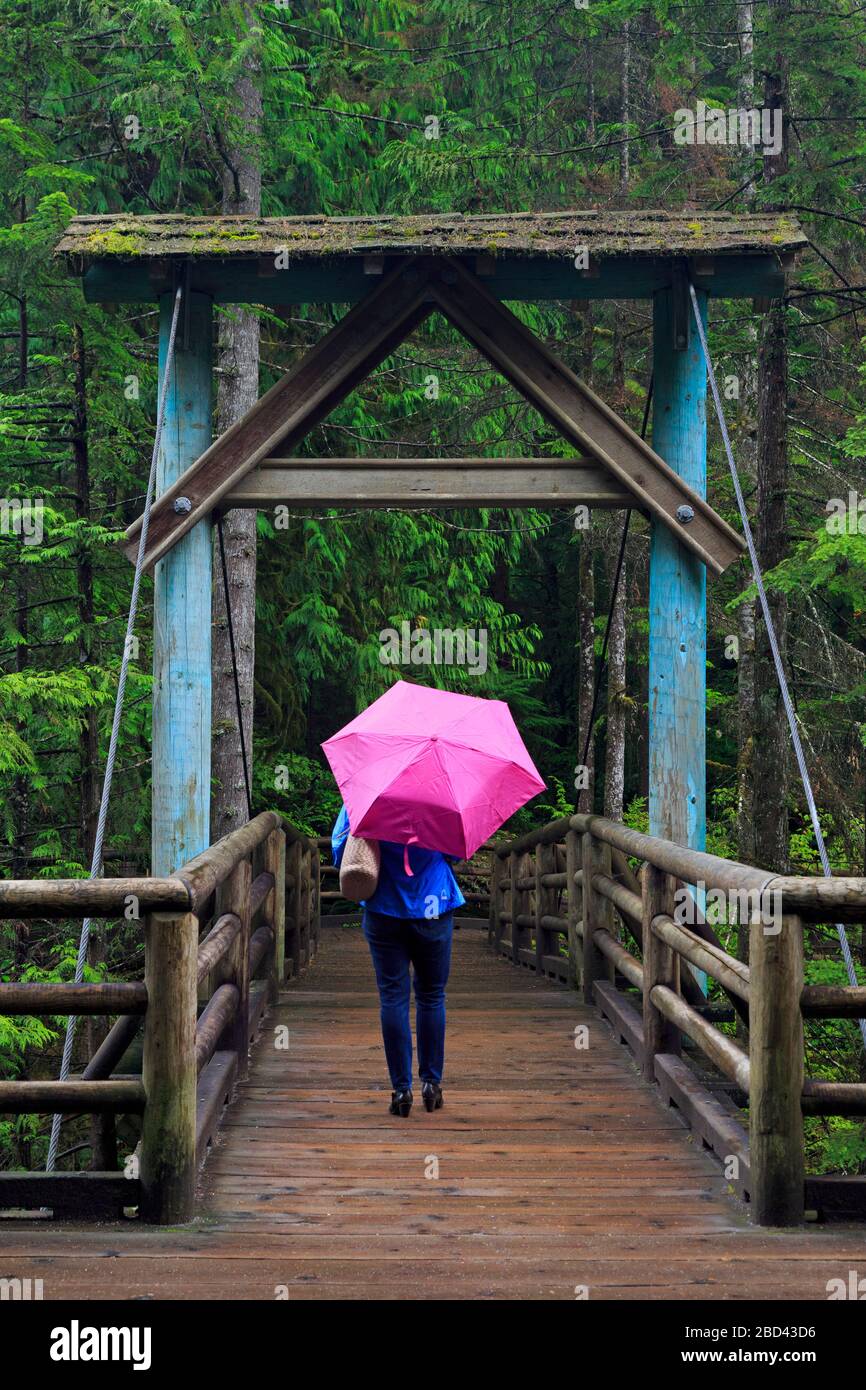 Il Capilano River Regional Park, Vancouver, British Columbia, Canada Foto Stock