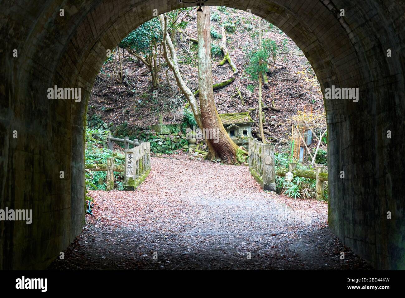 Vecchio tunnel scuro nella foresta Foto Stock