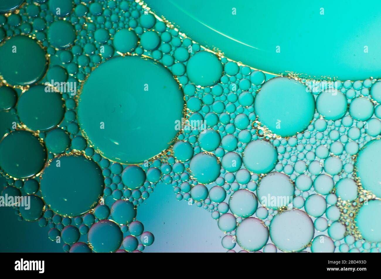 foto d'arte sfondo astratto di bolle di diverse dimensioni su sfondo verde Foto Stock