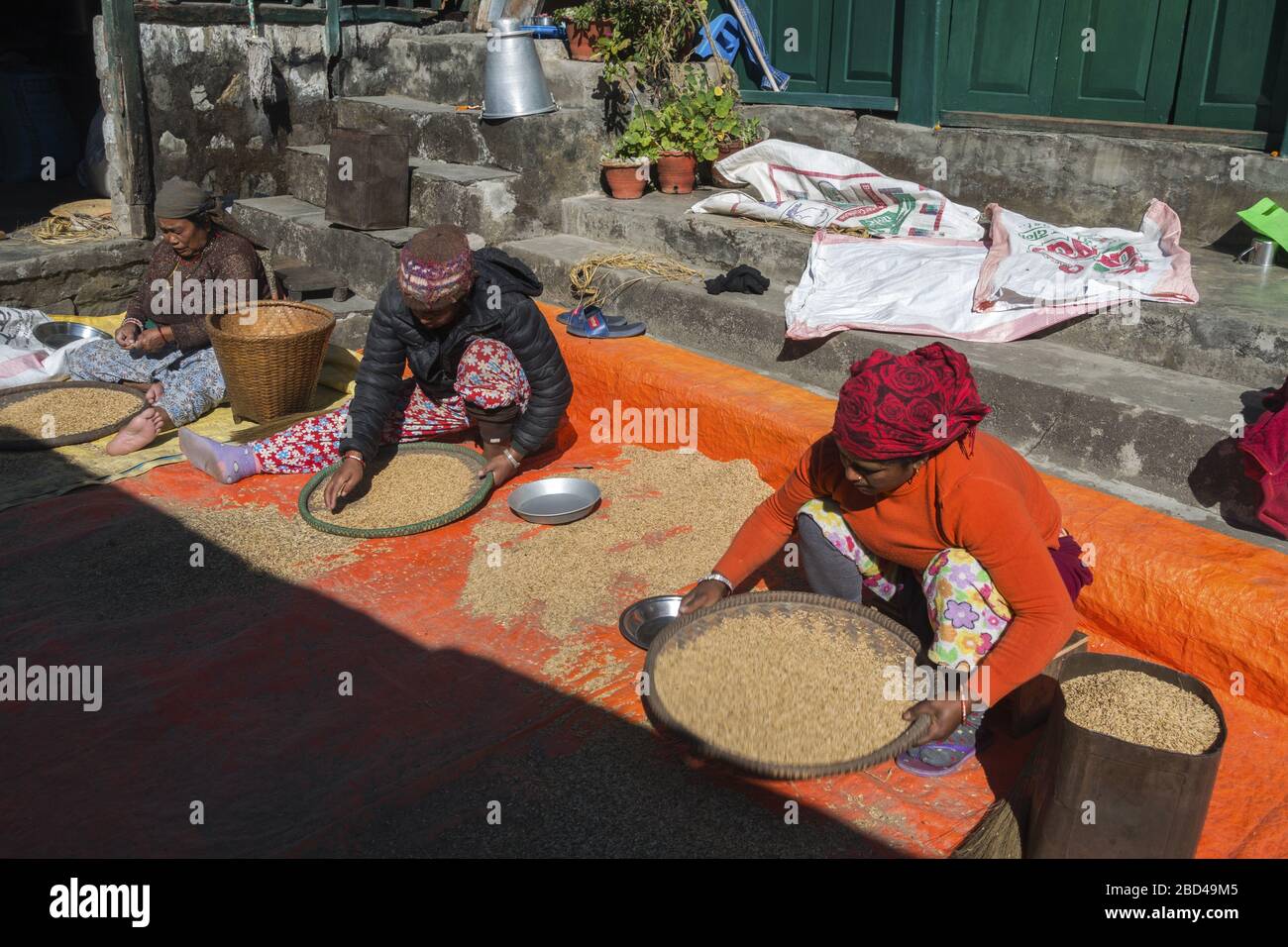 Etnico Nepal Donne che lavorano e si preparano per l'inverno nel villaggio sulla Annapurna Santuario Trekking Route Foto Stock