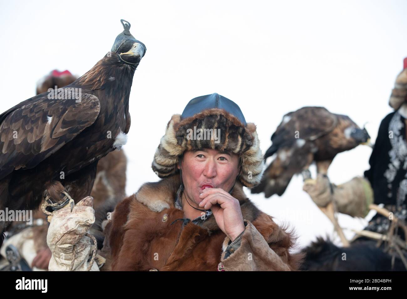 Anche i cacciatori di aquile kazako più breri non possono resistere a un lecca-lecca. Ulgii, Mongolia. Foto Stock