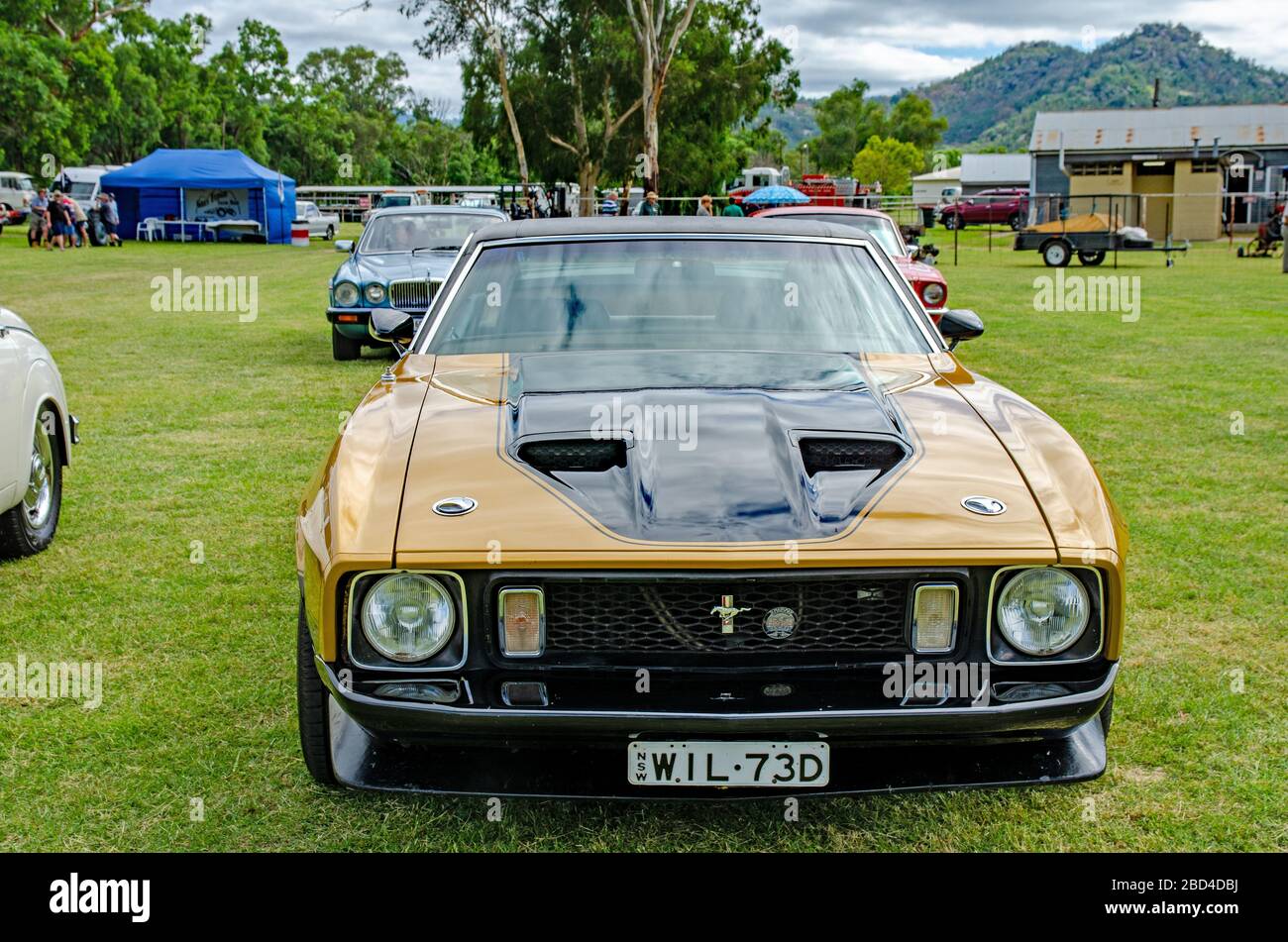 1973 Ford Mach 1 Mustang. Foto Stock