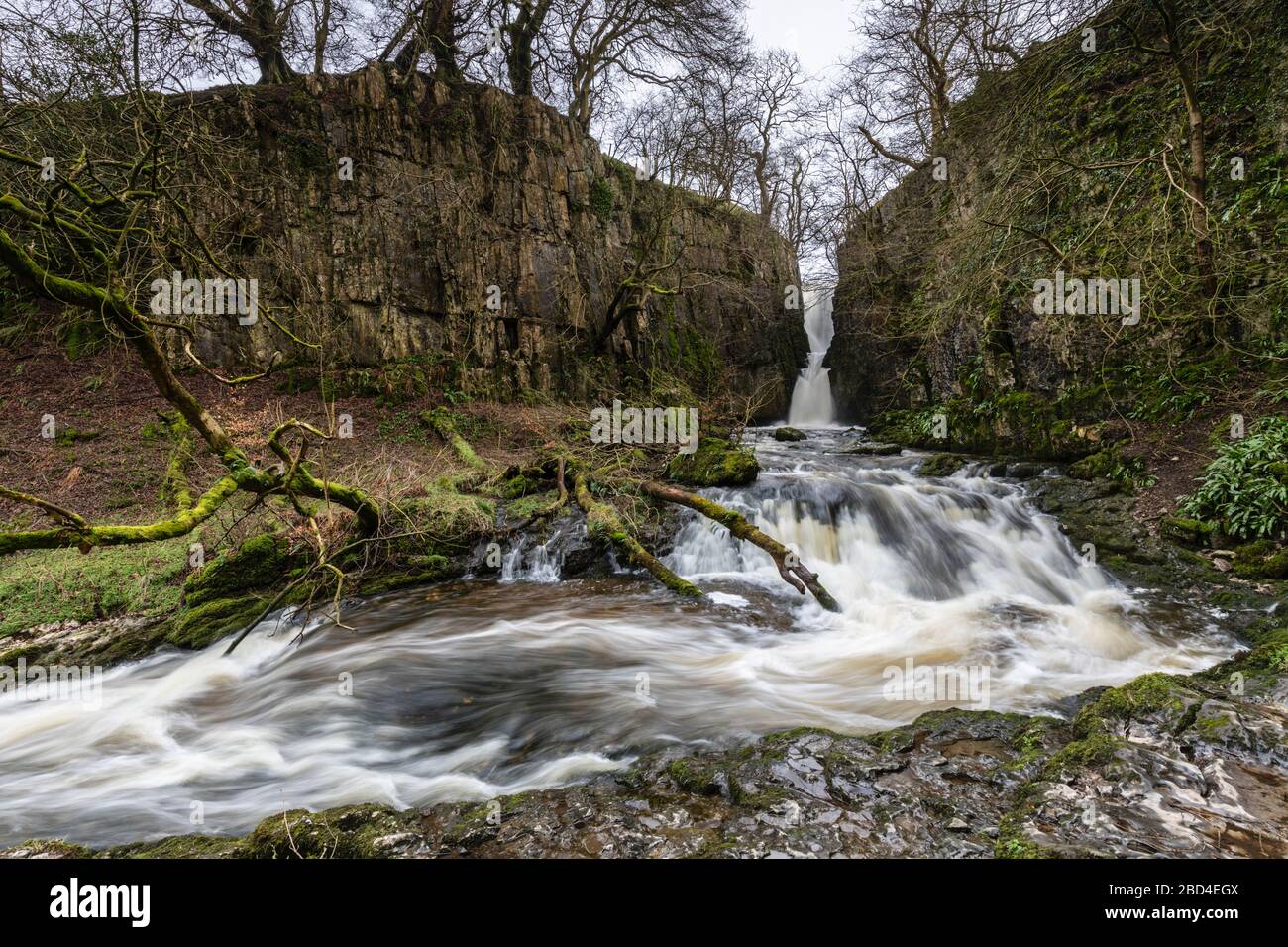 Catrigg Force nel Yorkshire Dales National Park. Foto Stock