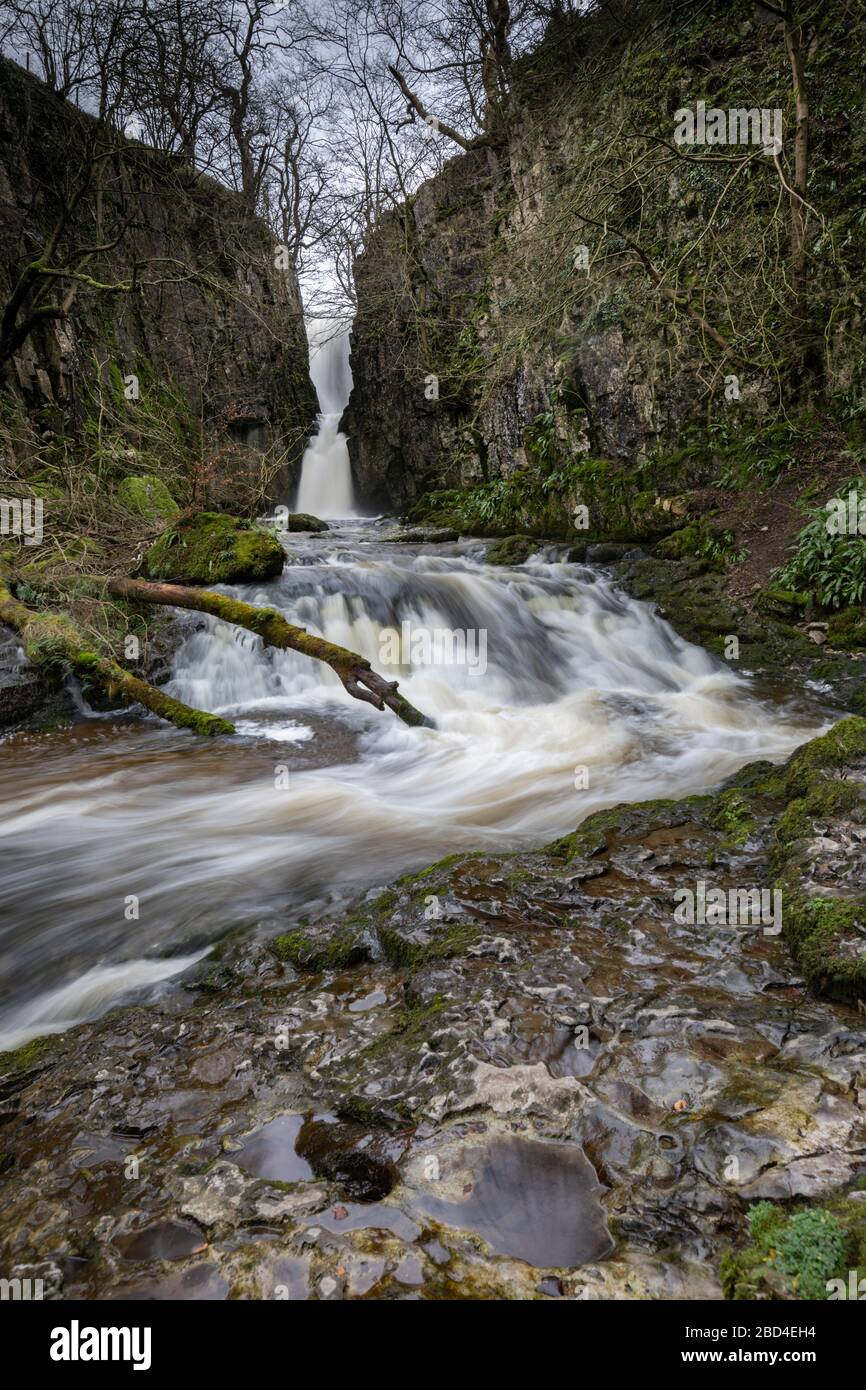 Catrigg Force nel Yorkshire Dales National Park. Foto Stock