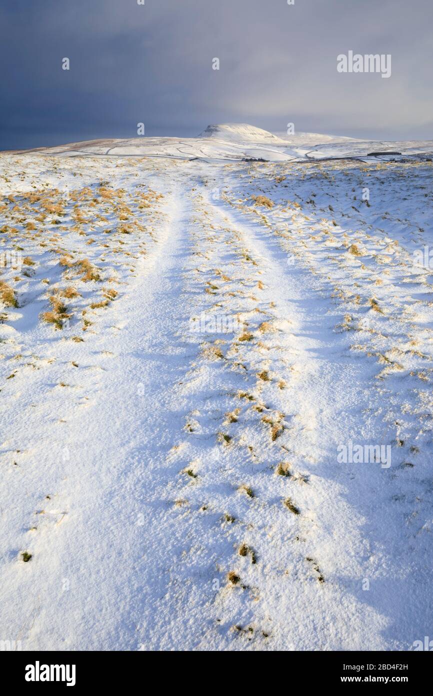 Un sentiero vicino alle pietre di Winskill che conduce verso Pen-y-ghent nel Parco Nazionale di Yorkshire Dales Foto Stock