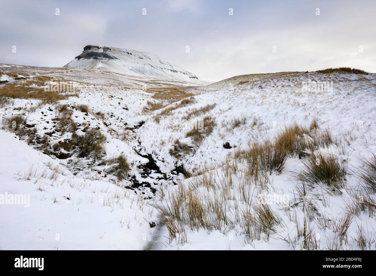 Pen-y-gand nel Yorkshire Dales National Park catturato dopo una nevicata. Foto Stock