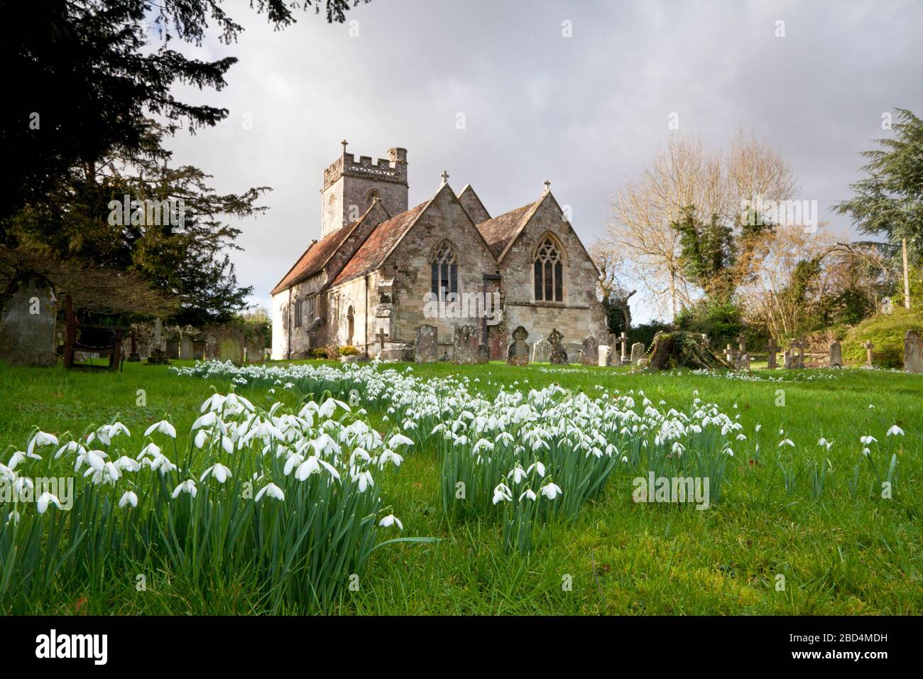 Gocce di neve nel cortile della chiesa di San Giorgio a Fovant, Wiltshire. Foto Stock