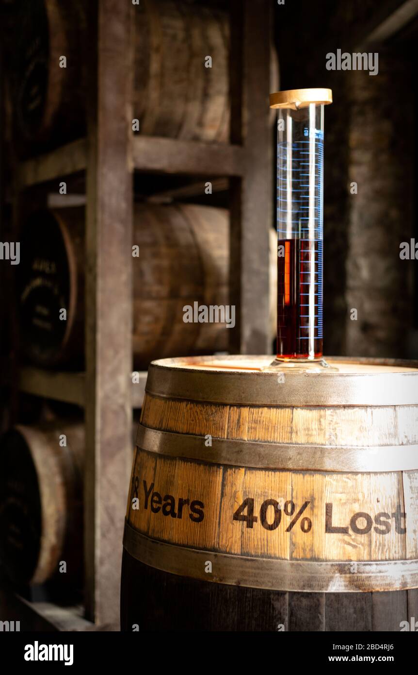 Esempio di whisky irlandese Jameson di 18 anni con visualizzazione delle perdite del 40% come quota di angelo nella Old Jameson Whiskey Distillery a Midleton, County Cork, Irlanda Foto Stock