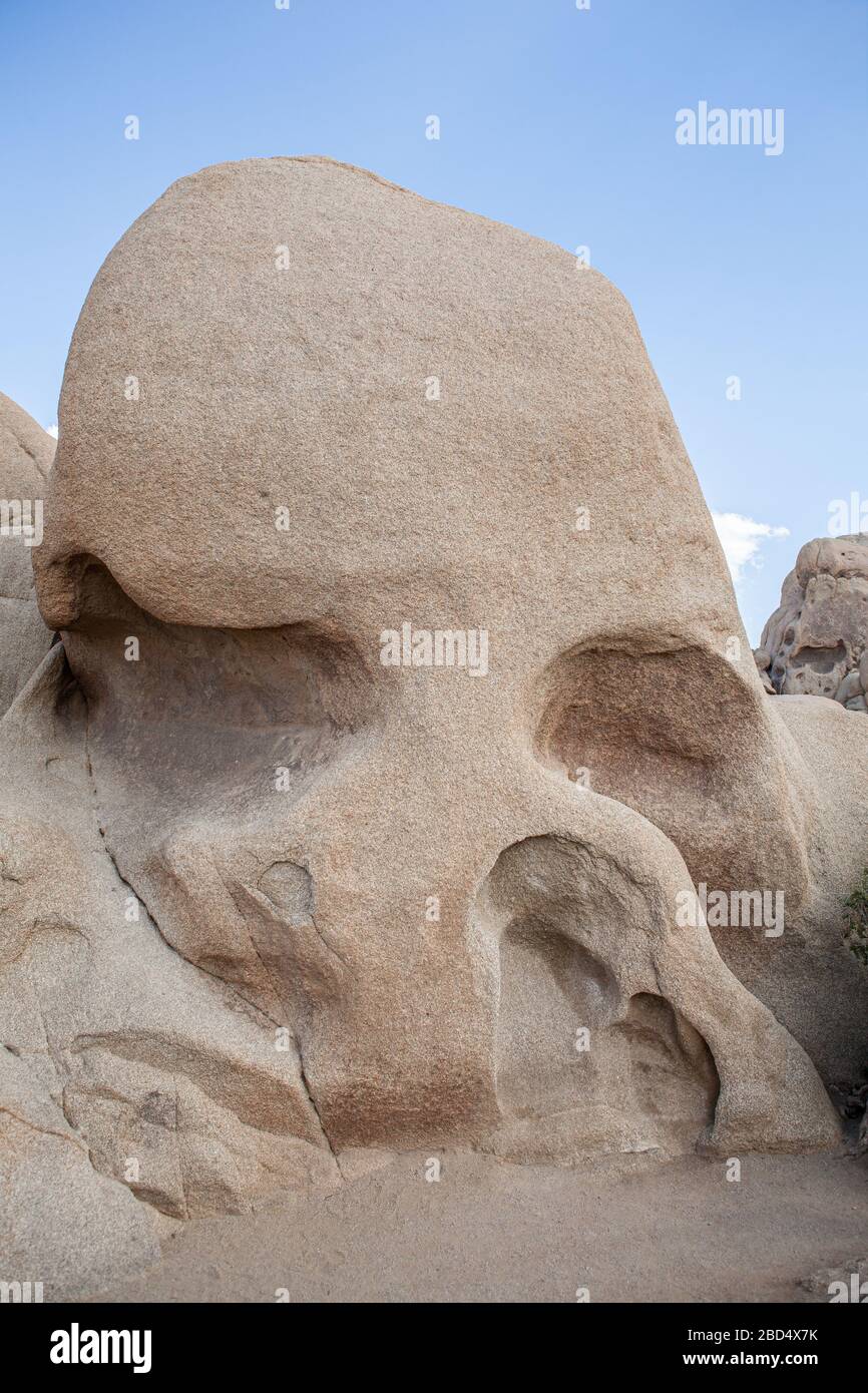 Formazione di roccia del cranio nel Parco Nazionale di Joshua Tree Foto Stock