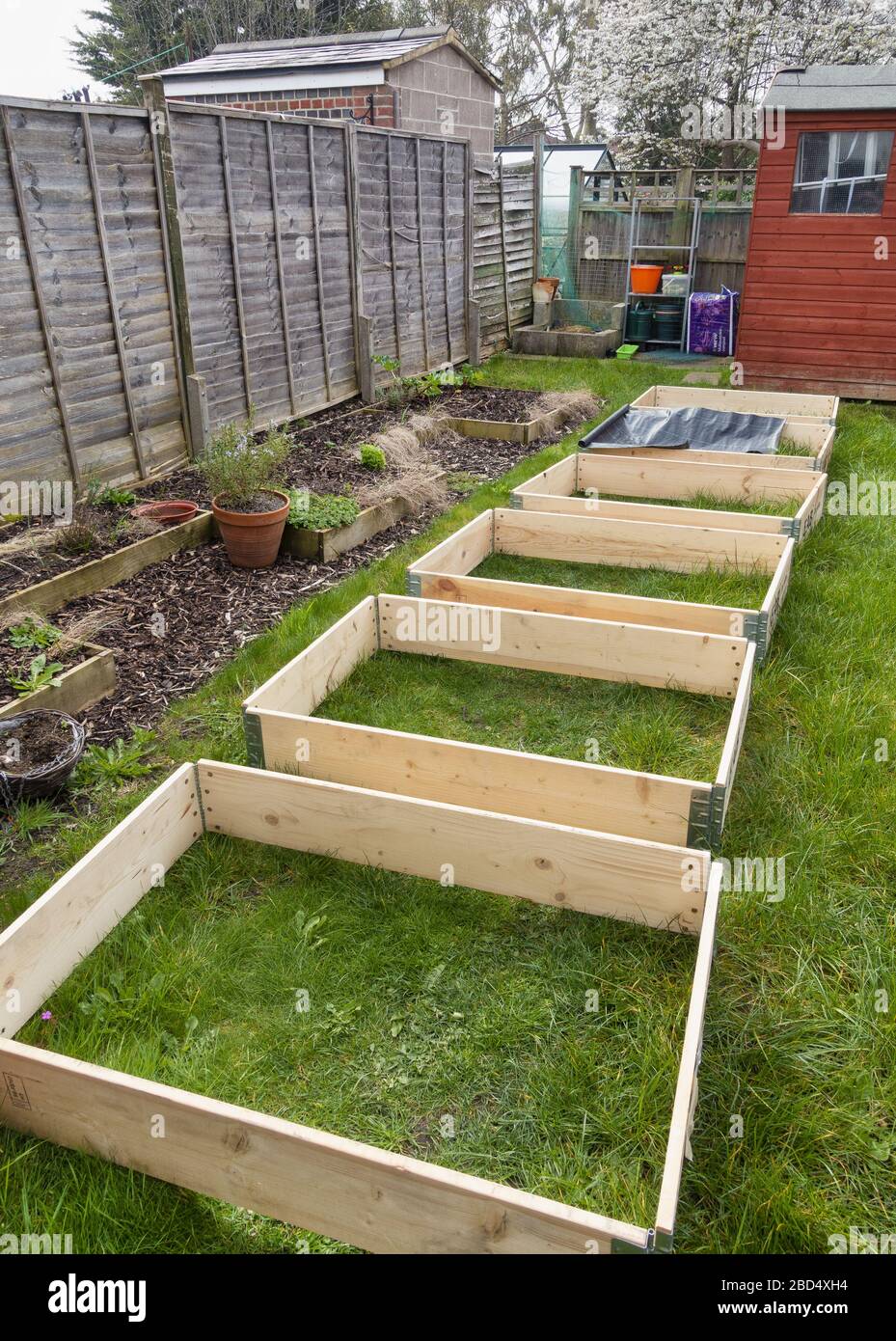 L'installazione di nuove piantatrici da giardino quadrate in legno per la coltivazione frutta e verdura nel giardino posteriore Foto Stock