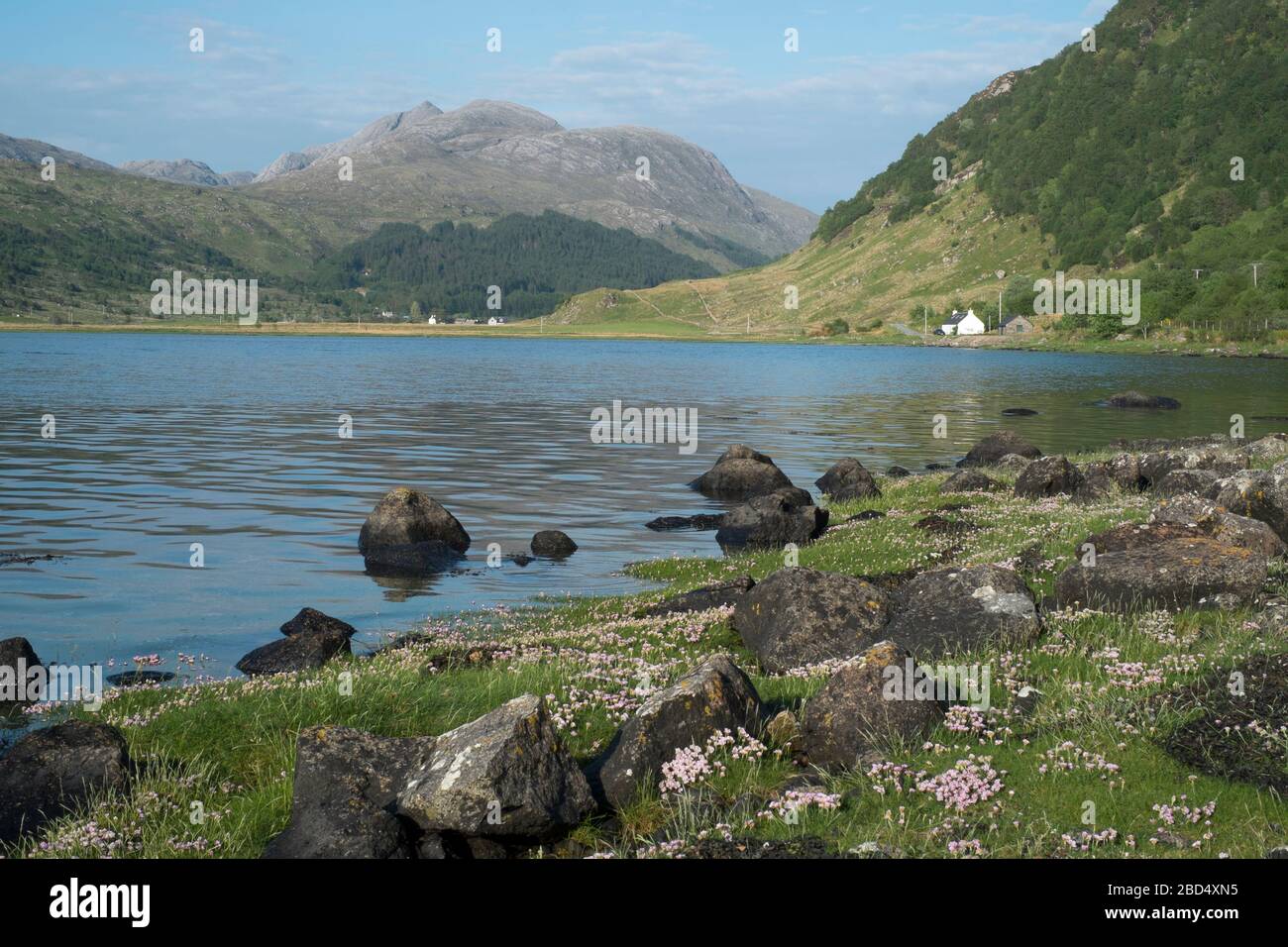 Loch Sunart vicino alla penisola di Ardnamurchan Foto Stock