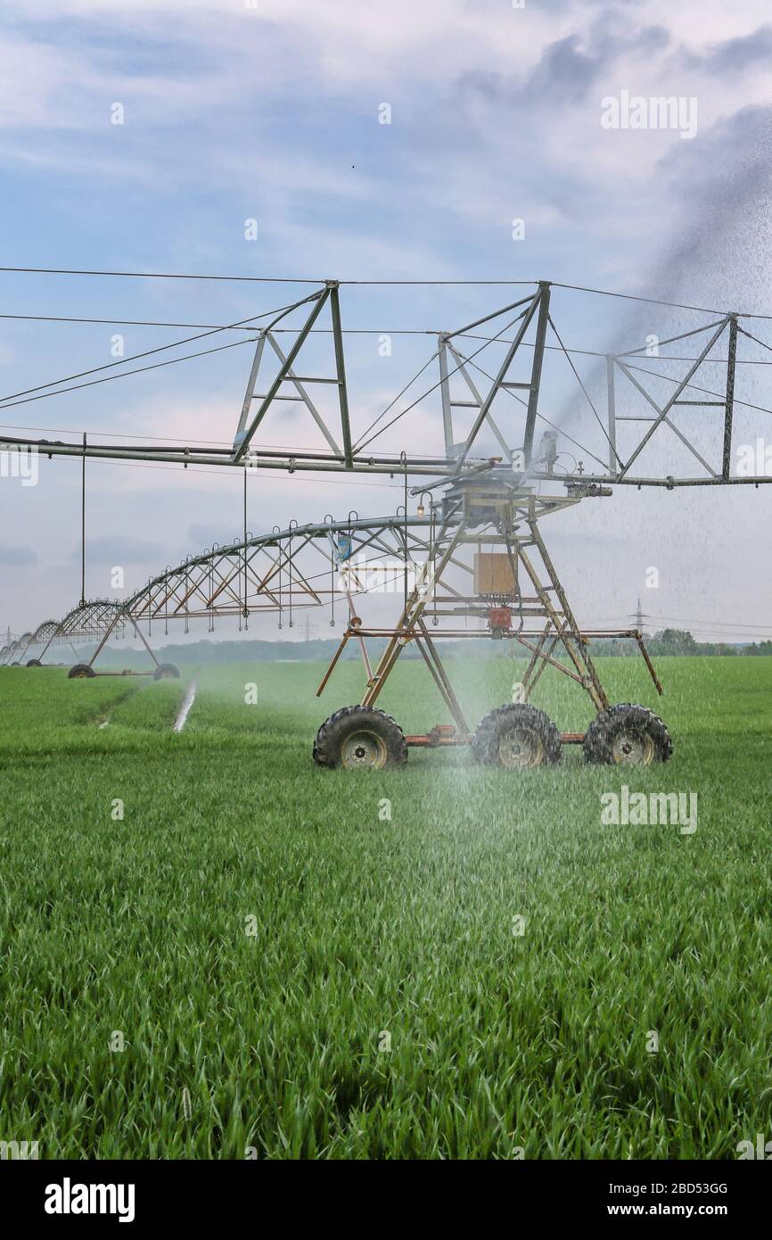 Grande sistema di irrigazione su campo verde in Germania Foto Stock