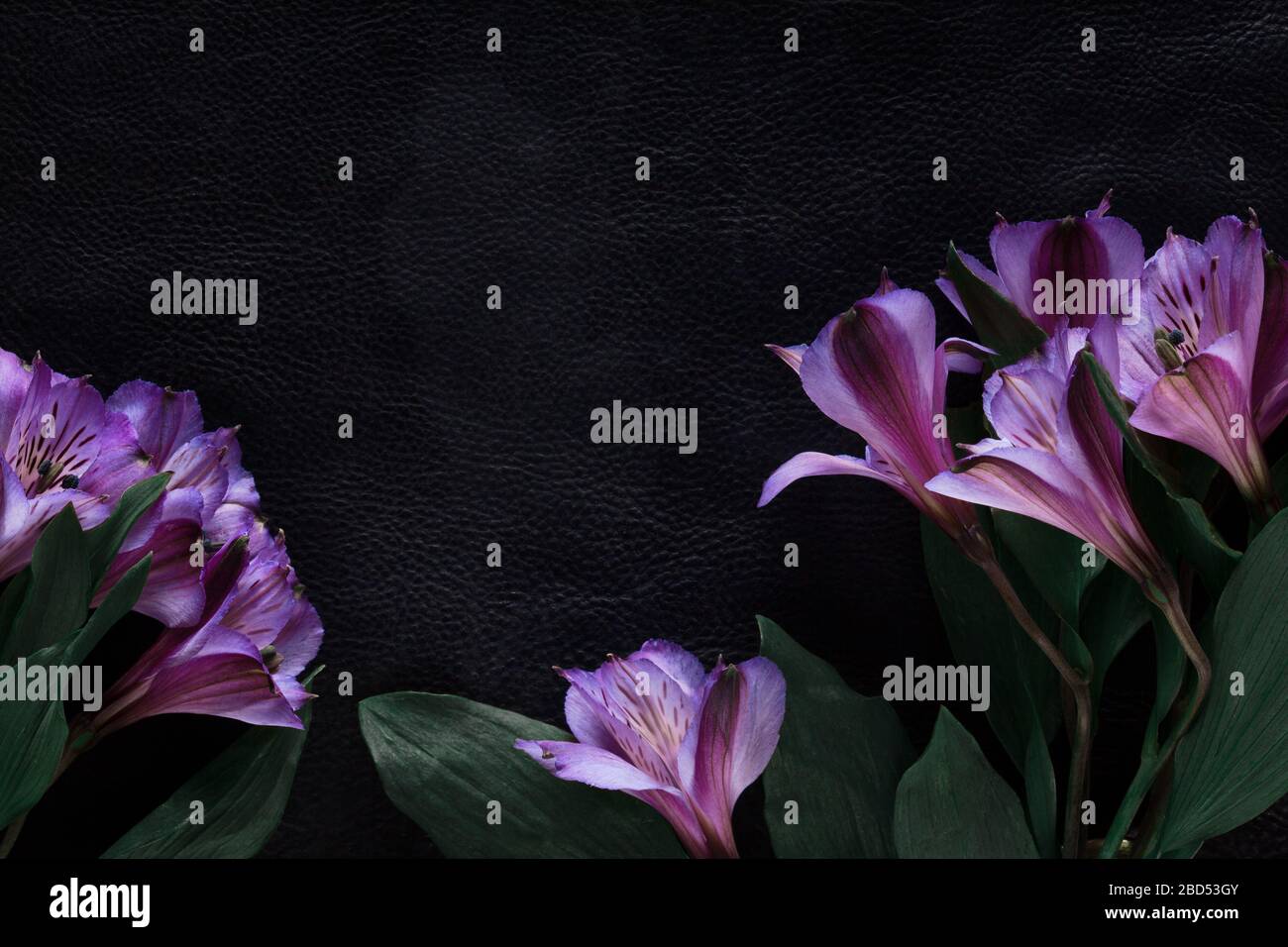 sfondo nero decorato con fiori rosa bouquet Foto Stock