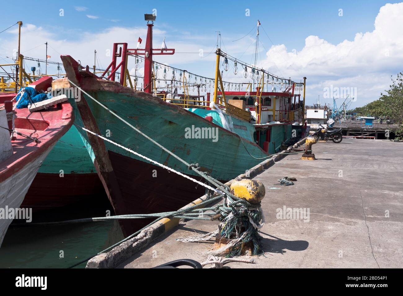 dh Porto di Benoa Asia BALI INDONESIA flotta di tonno di mare profondo le barche da pesca in ormeggio porto hanno legato le navi indonesiane Foto Stock