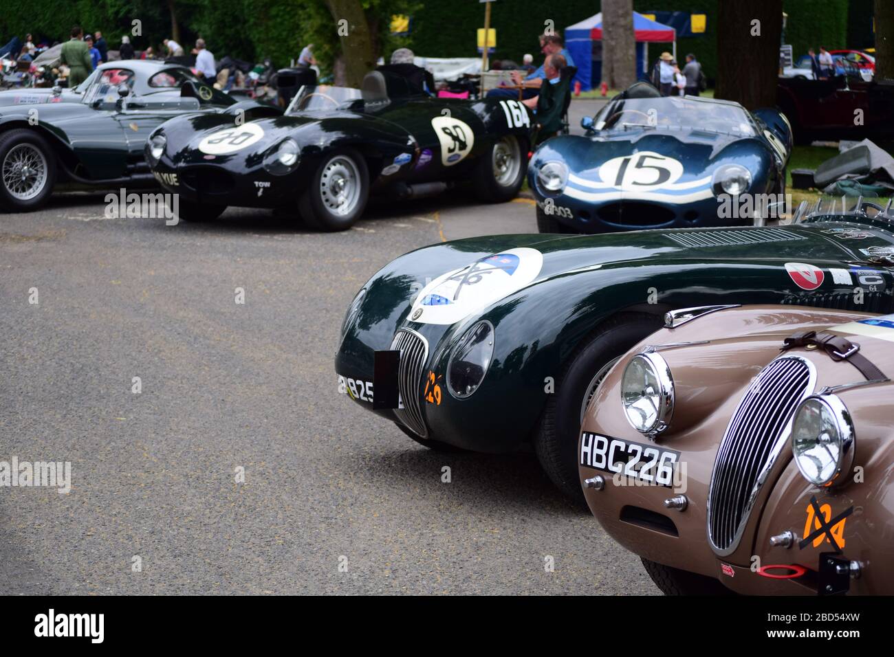 Auto Jaguar classiche in una mostra di auto che include una C TYPE e una D Type Foto Stock
